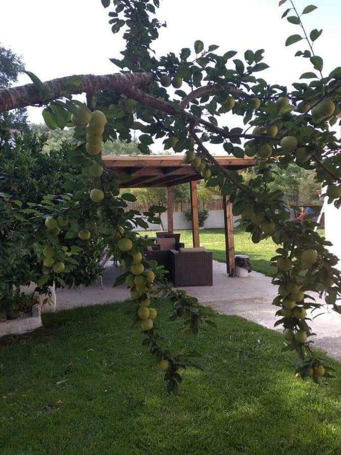 Villa Thanos Marathiás Exterior photo
